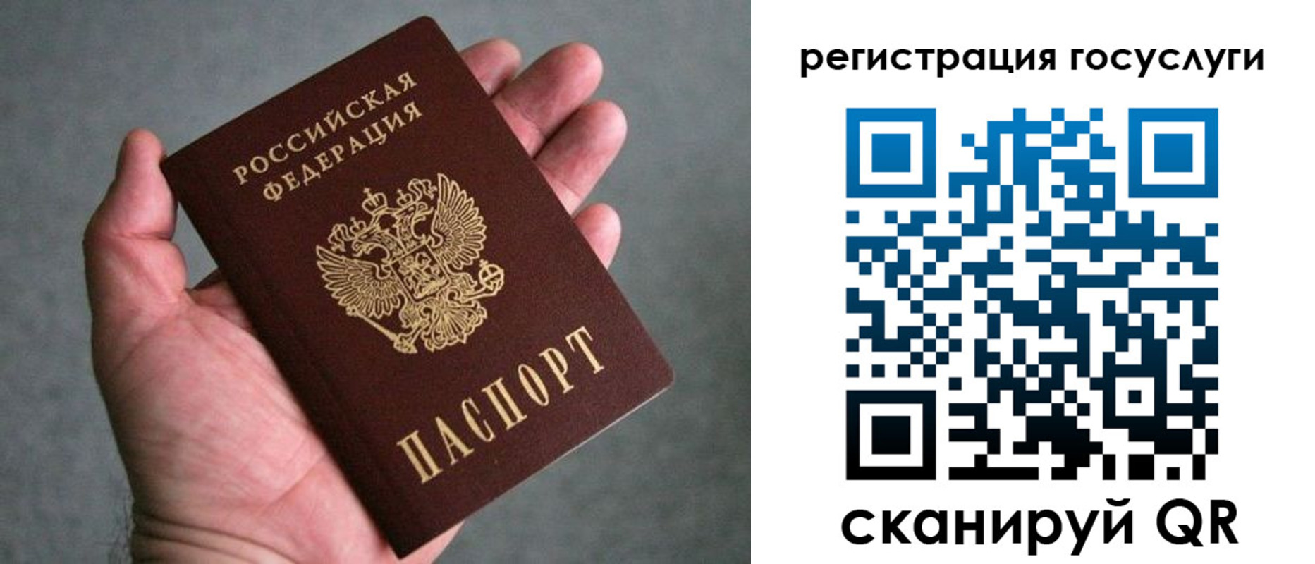 прописка поиск в Карелии